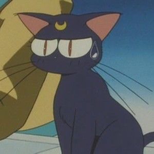 Meet your Posher, Posh